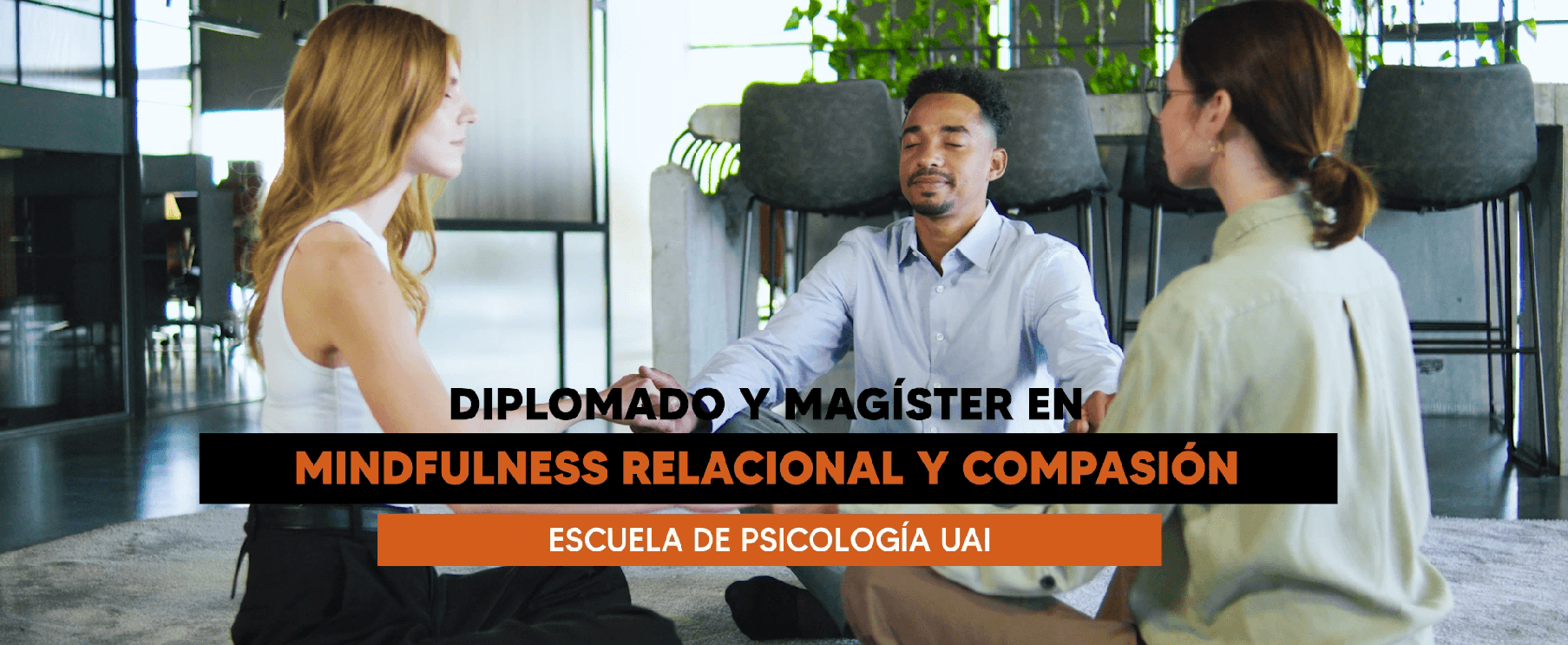 Diplomado en Mindfulness Relacional y Prácticas de Bienestar 