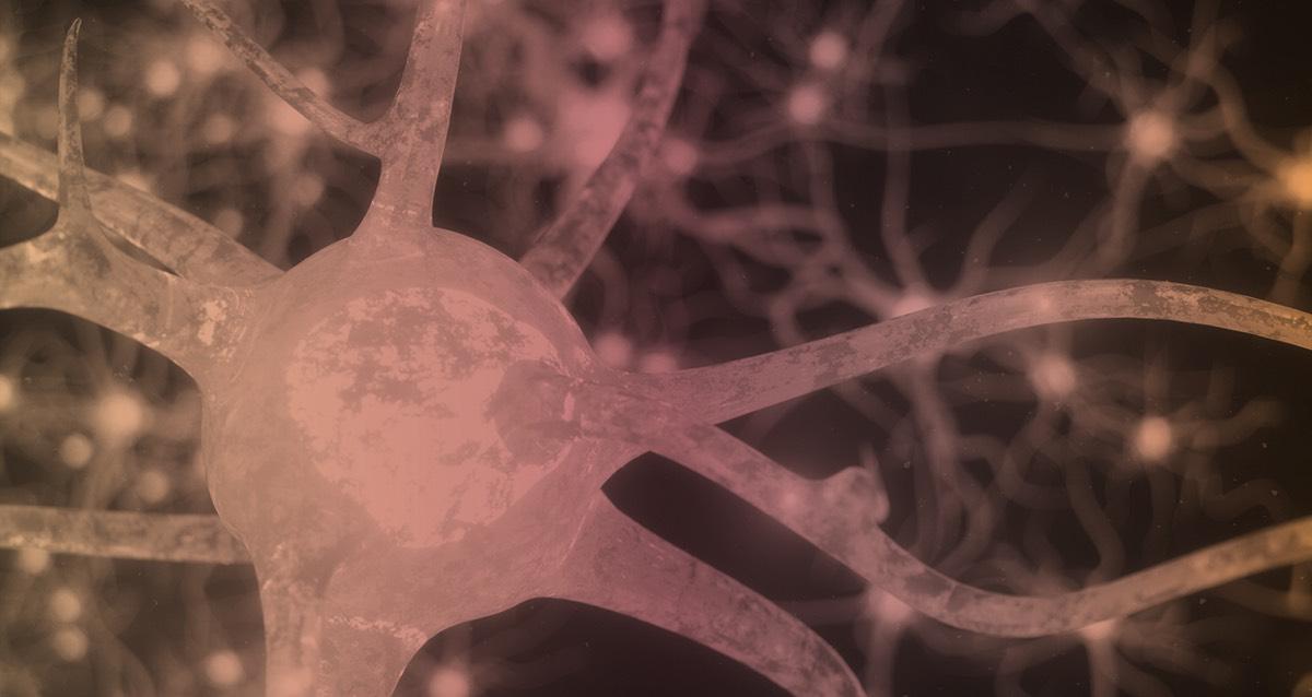 Magíster en Neurociencias Social y Cognitiva 