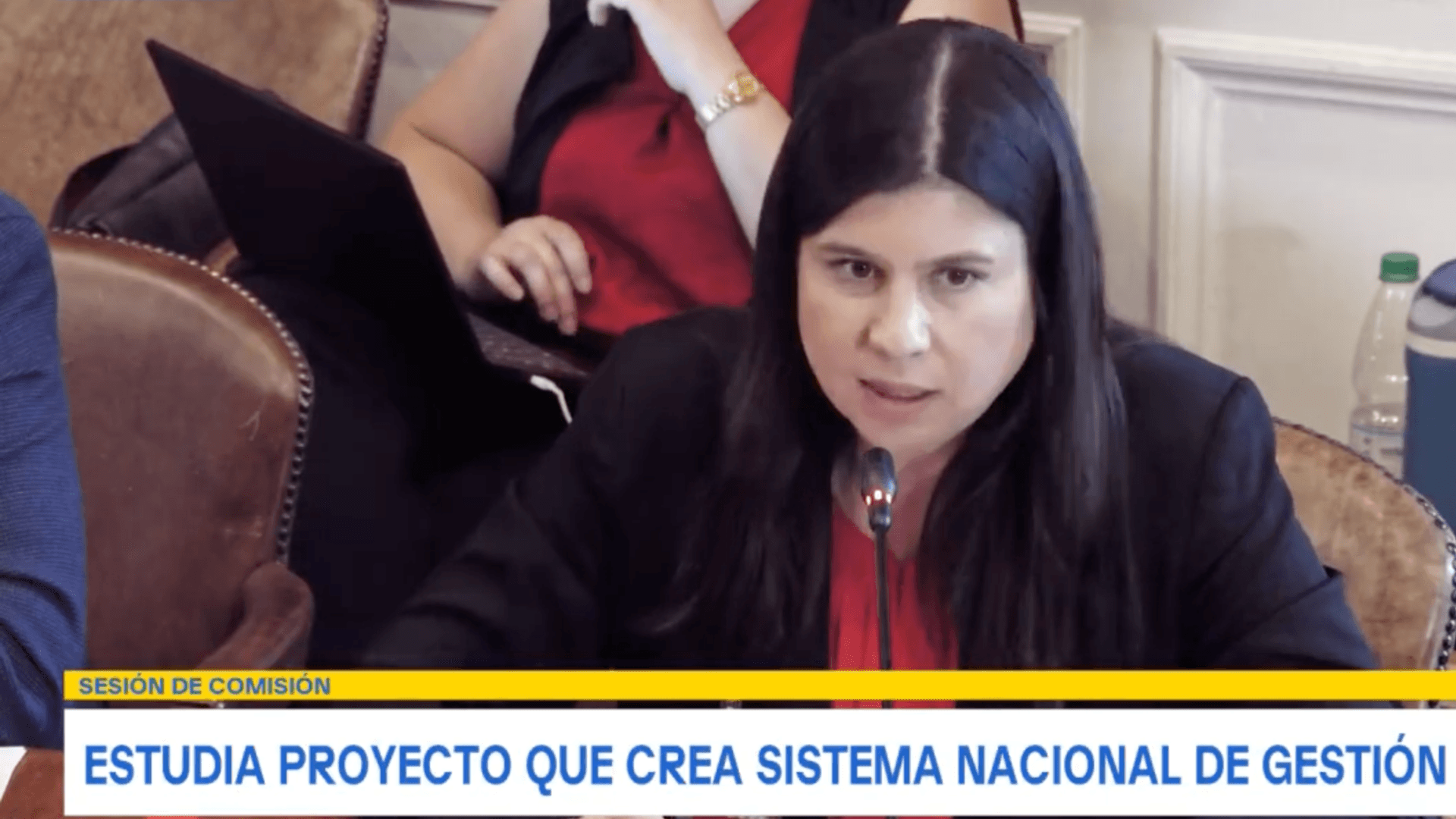 Directora del GobLabUAI expuso en tramitación de proyecto de ley sobre gestión de datos en el Senado