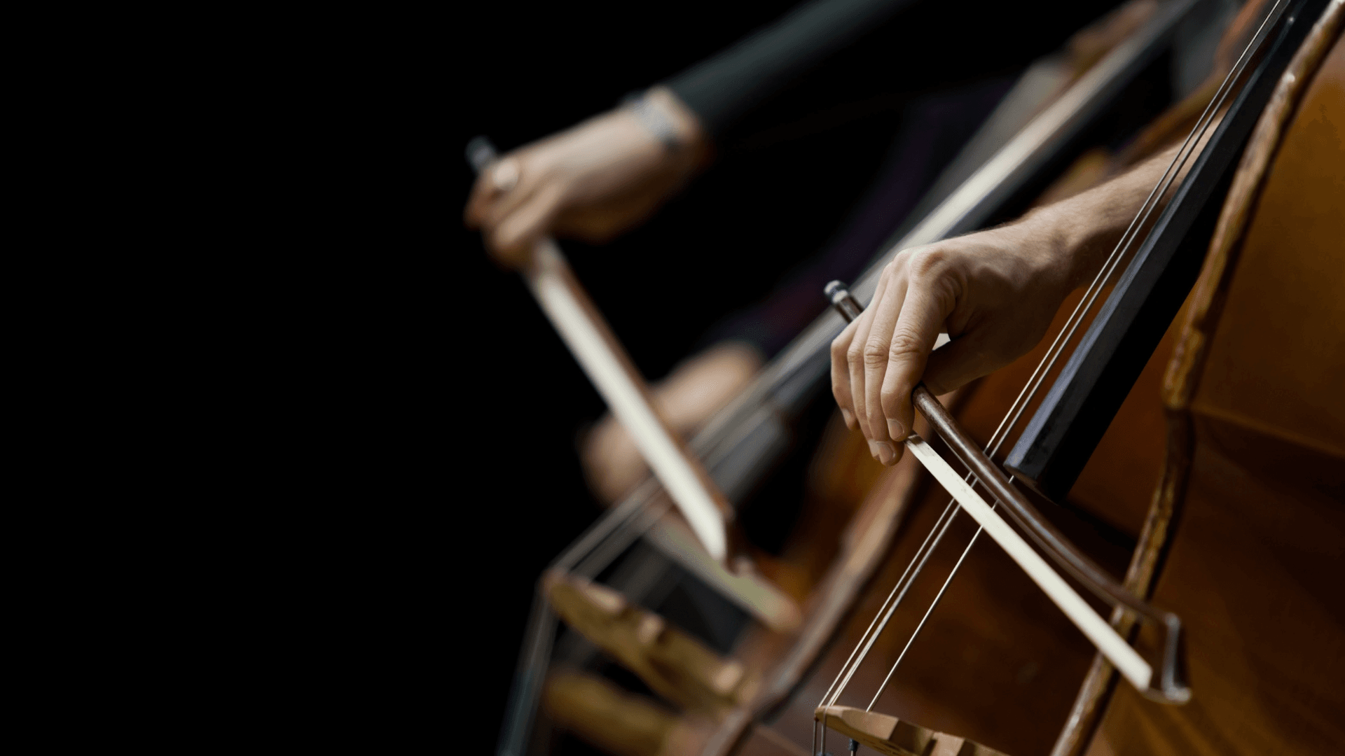 UAI lanzará su Camerata junto a Fundación Guitarra Viva