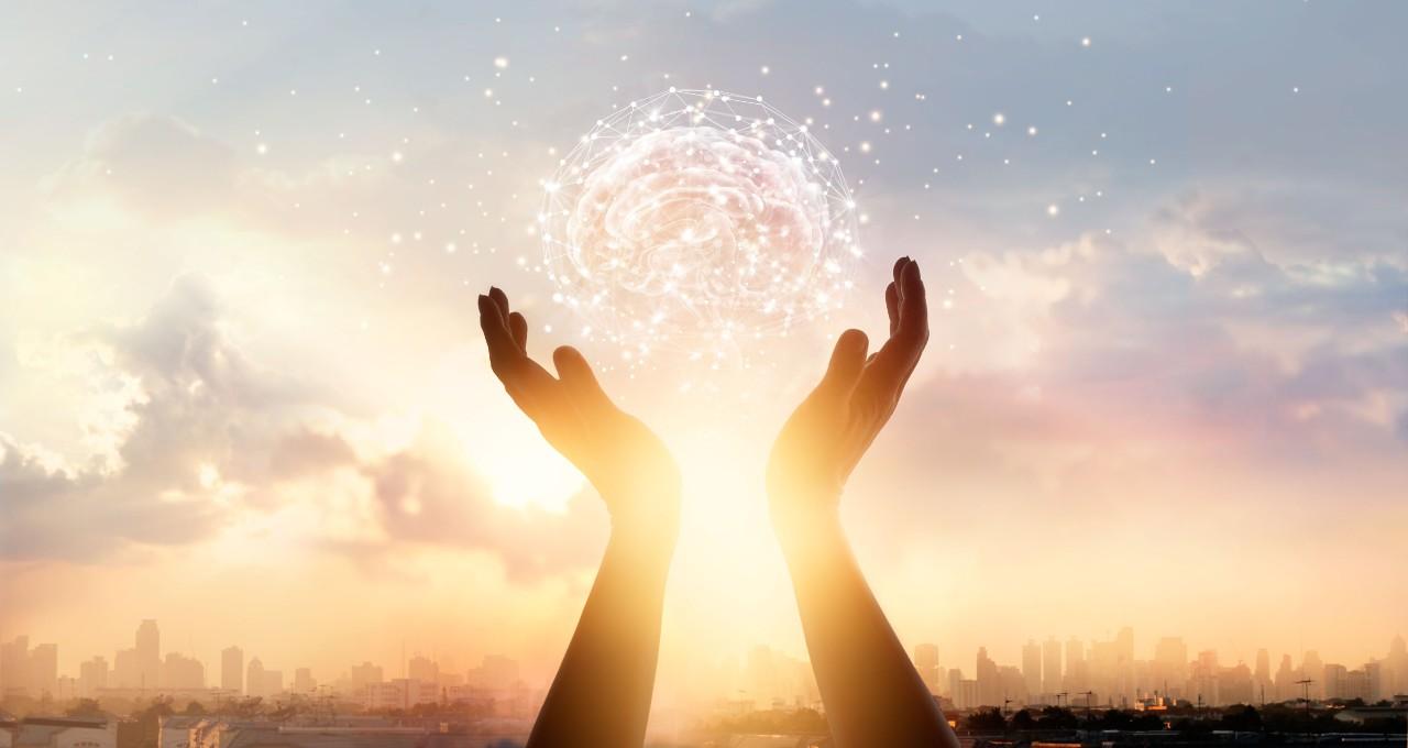 Curso La Ciencia y el Arte del Mindfulness - Online