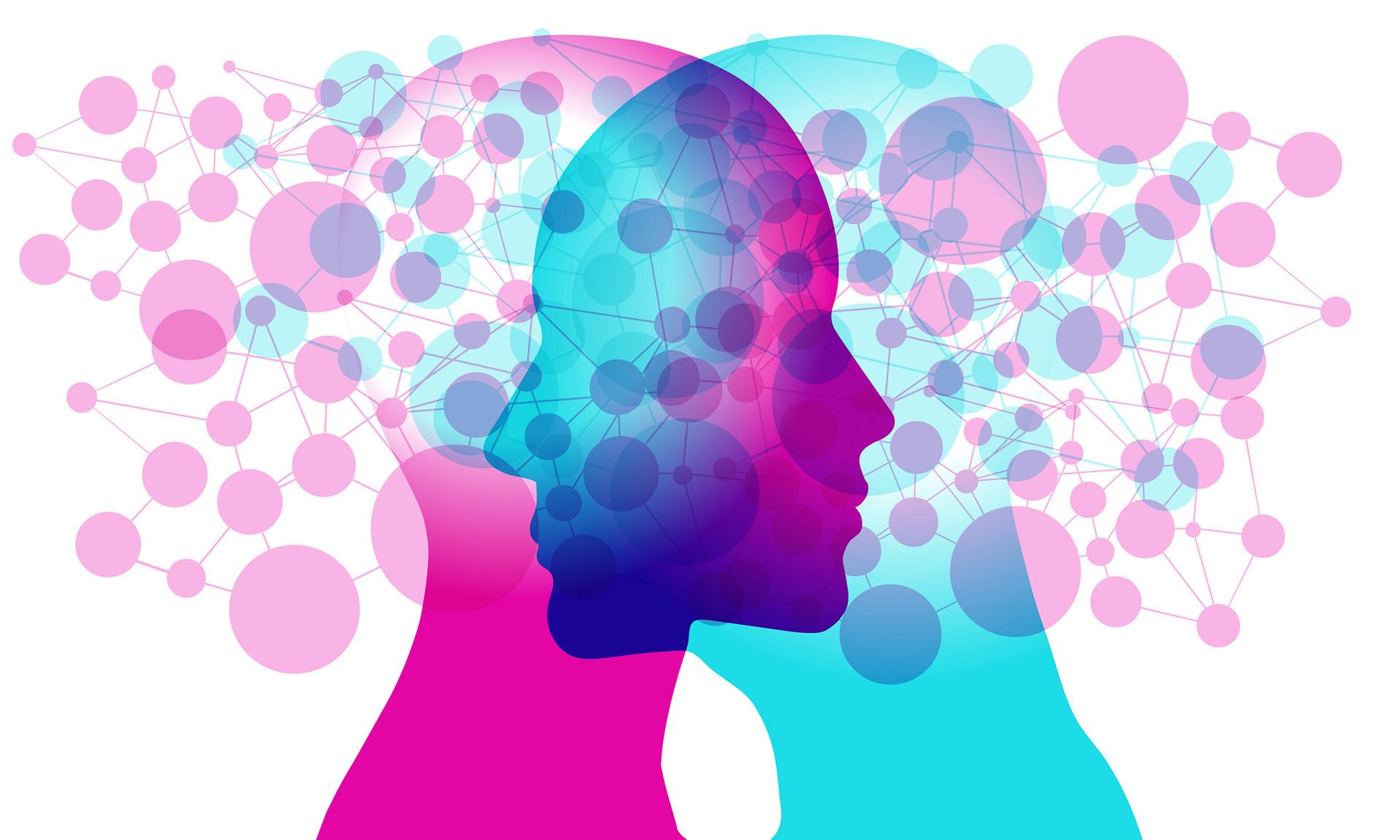 Diplomado en Ciencias Cognitivas y Neurociencia Social - Online