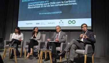 Cop 25: Oportunidades para Chile con la carbono neutralidad